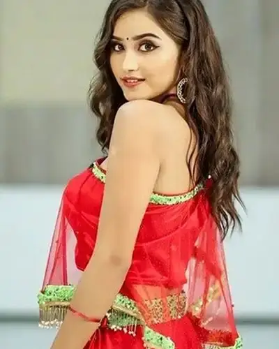 Call Girls Service Maninagar